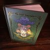 Celina and the Strange Fairy Hardcover