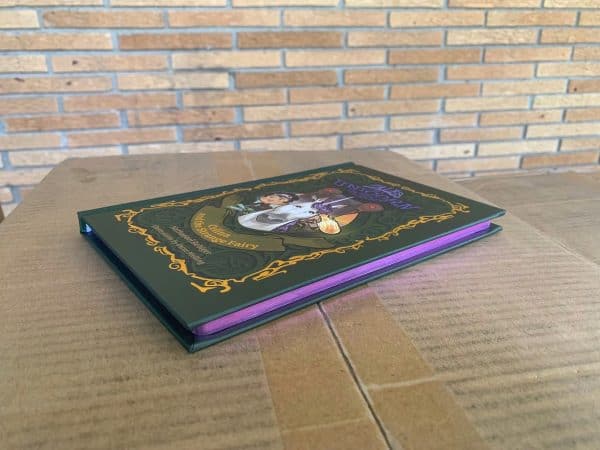 Celina and the Strange Fairy Hardcover